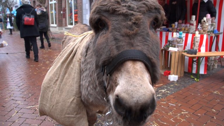 Schöne alte Weihnachtszeit 216