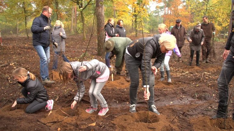 Volksbankwald 2016