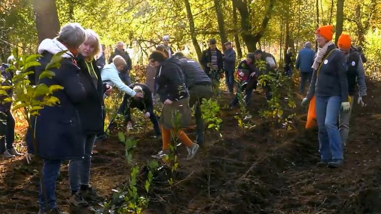 Der Volksbankwald wächst weiter