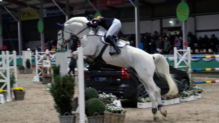 Reitturnier Gahlen 2023