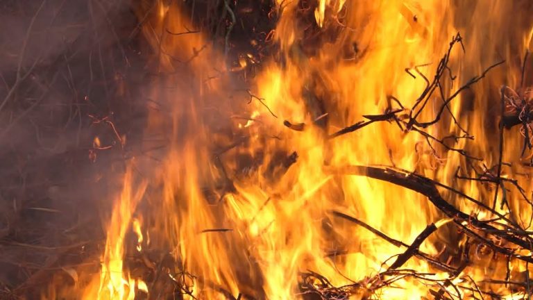 Drei Osterfeuer, eine Gemeinde – Schermbeck feiert Tradition 🔥🐣